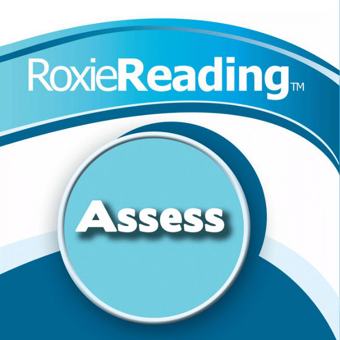 Read more about the article Assessments
