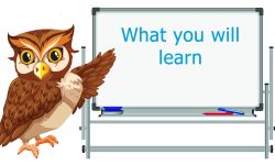 Workshop Whiteboard with Owl